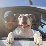 Nick P Faber - @nickfaber18 - Instagram