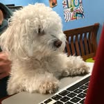 Nick Farahani - @nick.farahani7 - Instagram