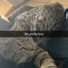 Nick Farley - @nick.farley4 - TikTok
