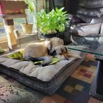 Nick Fehr - @nick.fehr.56 - Instagram