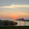 Nick field - @nick.field1 - TikTok