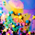 Nick The Flagget - @nick_the_flagget - Instagram