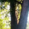 Nick Flesch - @nick.flesch - TikTok