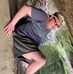 Nick Forte - Facebook