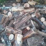 Nick Francisco - @borecutbeags_thefirewoodking - Instagram