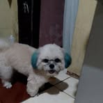 Nick Francisco - Facebook