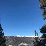 Nick Freeman - @nick_freeman112 - Instagram