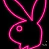 Nick Galante - @nicksvideos510 - TikTok