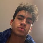 Nick Gamboa - @mr._.olympia - Instagram