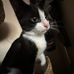 Nick Gamboa - Facebook