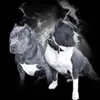 Nick Garza - @nickgarza217 - TikTok