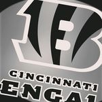 Nick Gatto - @gatto_18 - Instagram