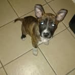 Nick Gentry - Facebook