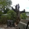 nickgentry8 - @nickgentry8 - TikTok