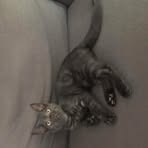 Nicholas Geraghty - Facebook