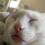 Nick Geraghty - @nickg4724 - Instagram