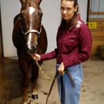 Nick gerlach - @horsegerlach - Instagram