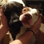 Nick Gholson - @nickgholson - Instagram