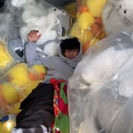 Nick Giang - @nickk.giang - Instagram
