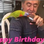 Nick Giannopoulos - @yvonnenick2 - Instagram