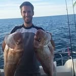 Nick Gillespie - @nick.r.gillespie - Instagram