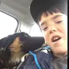 Nicholas Gillis !!! - @nick.gillis - TikTok