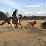 nick gillispie - @nickgillispie6 - Instagram
