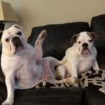 Nick Gist - Facebook