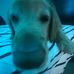 Nick Grandy - Facebook