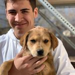 Nick Gray - @nickgray__ - Instagram
