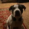 NICKG777 - @nickgriffith777 - TikTok