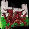 Nick Griffiths - @nick.griffiths - TikTok