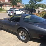 Nick Grimaldi - @nick_grimaldi_1 - Instagram