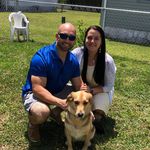 Nick Grosso - @nickg1016 - Instagram