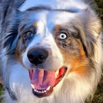 Nick_grubbs - @nick_grubbs - Instagram
