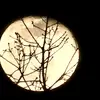 nickgrubbs5 - @nickgrubbs5 - TikTok