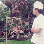 Gust Nick - @gust.nick - Instagram