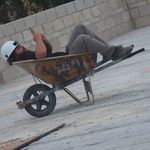 Nick Gustafson - @classic_crawlers - Instagram