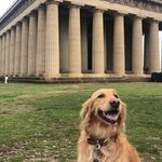 Nick Gustafson - @ncgustafson - Instagram