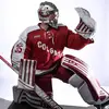 Nick Haas - @nick.haas2230 - TikTok