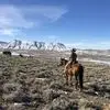 nickhanna487 - @nick.hanna2 - TikTok