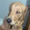 Nick Hartman - @nick.hartman97 - TikTok