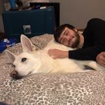 Nick Hartz - @kcin_ztrah - Instagram