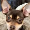 Nick W Hawley - @nickwhawley - TikTok