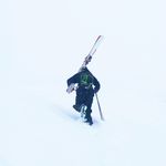 Nick Hecking - @nickhecking - Instagram