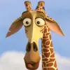 nickheide18 - @431._.nick - TikTok