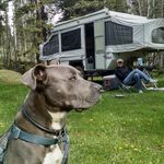 Nick Heine - @thebigheine - Instagram