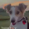 user2429755034001 - @nick.heine6 - TikTok