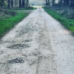 Nick Helliwell - @lordhelliwell - Instagram