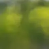 nic helmer - @nichelmer1213 - TikTok